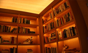Bookcase Lighting | Light Agency Group, Inc. | Salt Lake City, UT